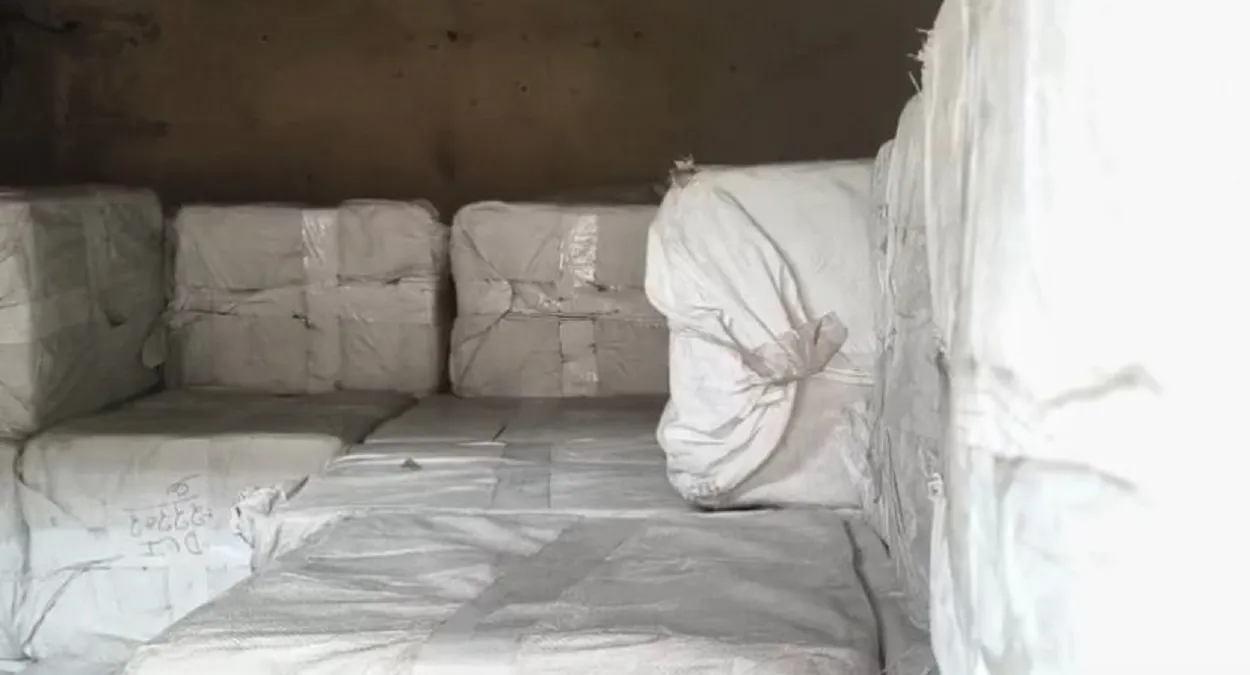 जालंधर में चाइना डोर पर प्रतिबंध बेअसर, सरकारी क्वार्टरों से भारी मात्रा में बरामद