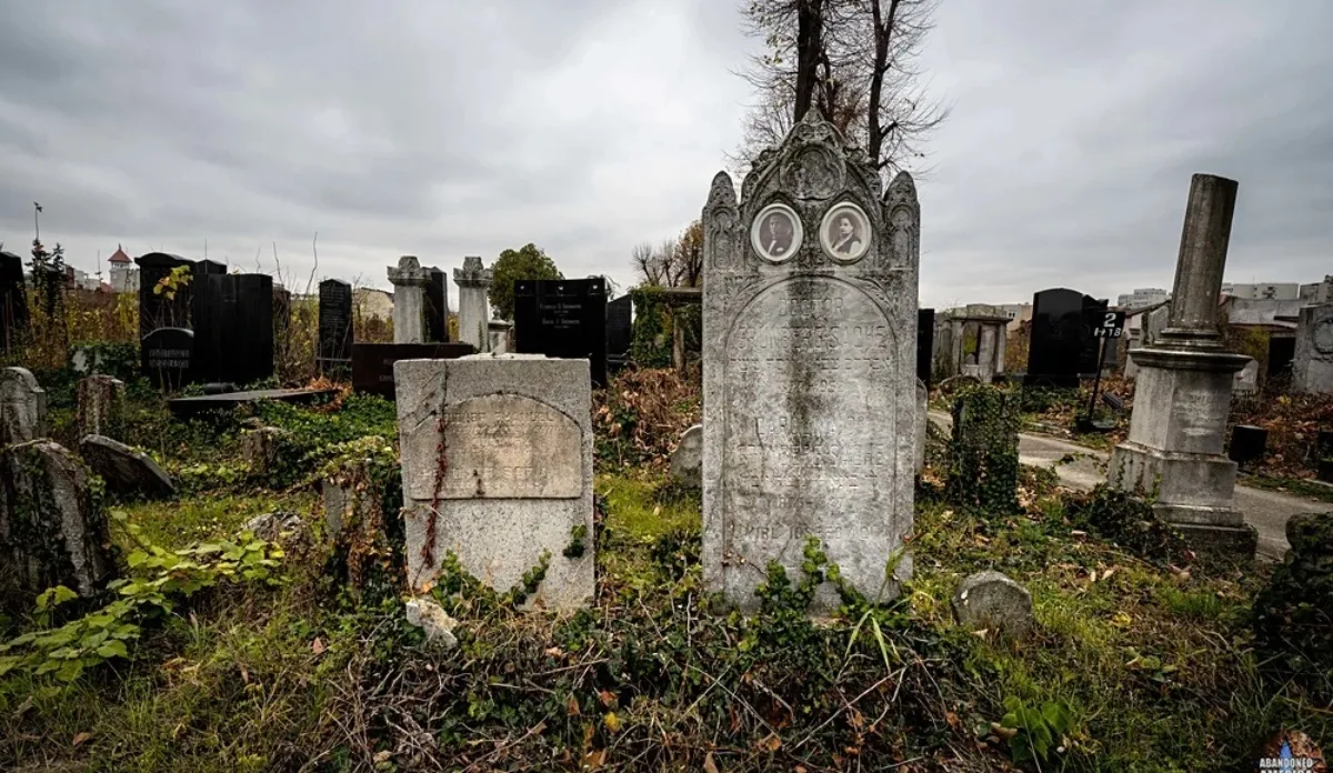 अमेरिका में बेसमेंट से इंसानी अंगों का भयानक खुलासा