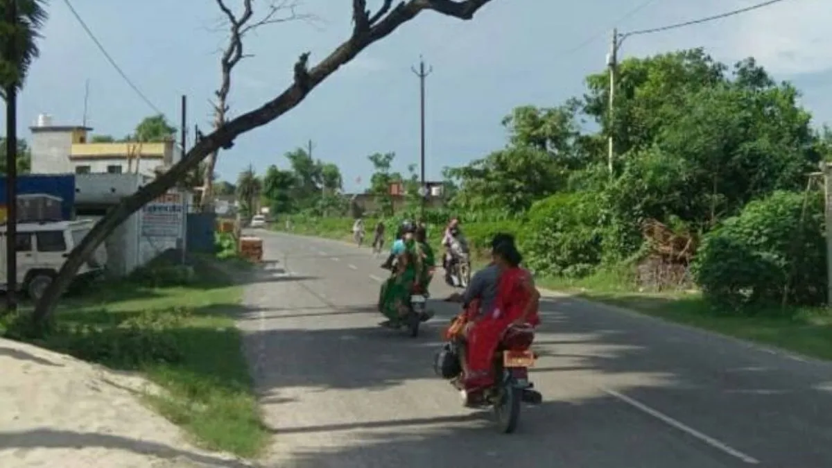 चांदनी चौक-बखरी रोड पर पेड़ बने बाधा, वन विभाग से अब तक नहीं मिला एनओसी