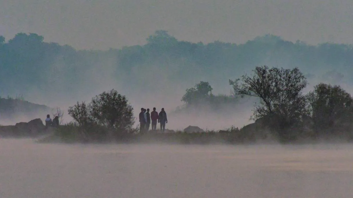 नए साल में बढ़ी ठंड, कई राज्यों में शीतलहर और कोहरे का अलर्ट