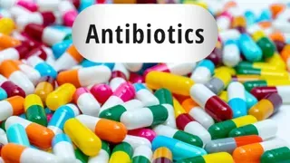 WHO की डरावनी रिपोर्ट, हर 6 में से 1 मरीज पर बेअसर हो रही एंटीबायोटिक दवाएं; फतेहाबाद में स्वास्थ्य संकट की आहट