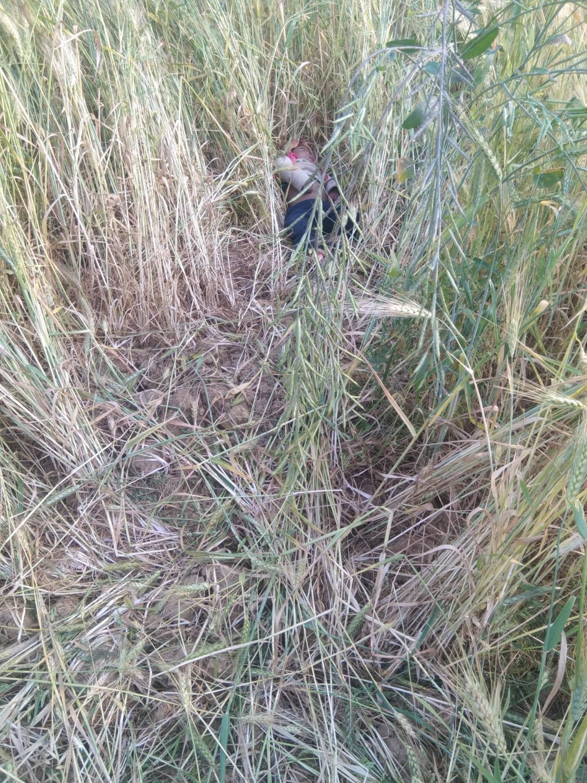 नेवारी गांव में 18 माह की मासूम की संदिग्ध मौत, घर से 25 मीटर दूर झाड़ियों में मिला शव