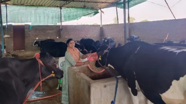 काशी मिल्क प्रोड्यूसर संस्था से जुड़कर पूर्वांचल की पांच प्रमुख लखपति दीदियों में शामिल हुईं सोनभद्र की विनीता