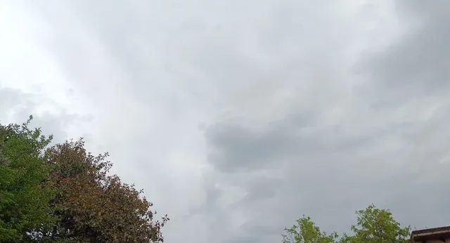 खेती के लिए ‘वरदान’ बनी बारिश, पंजाब के मोगा में हुई बूंदाबांदी से गेहूं की फसल को होगा बड़ा फायदा