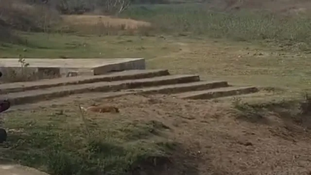 बिना बालू के ही बना दिए 7 घाट! सतबरवा में खनन विभाग के आदेश पर बड़ा सवाल