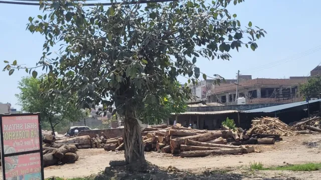 सोनीपत के कुंडली में दादा भैया तालाब से अवैध कब्जे हटाने की कार्रवाई तेजी, HC के आदेश के बाद प्रशासन की सख्ती