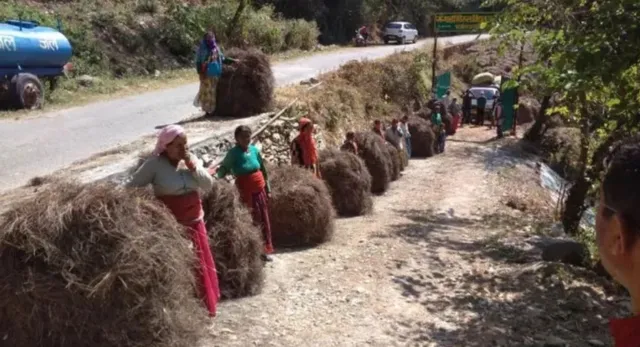 उत्तराखंड में पिरुल से बदलेगी तस्वीर, जंगल बचेंगे और आमदनी भी होगी