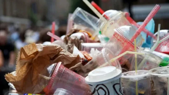 मुंबई में कागजों पर सिमटा प्लास्टिक बैन, धड़ल्ले से हो रहा इस्तेमाल; सर्वे में हुआ खुलासा