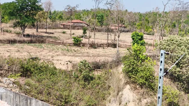 कोडरमा के जंगलों में रांची-खूंटी के लोगों अवैध बसावट, दर्जनों एकड़ वन क्षेत्र नष्ट; संकट में वन्य जीव