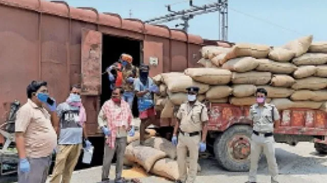 सीमांचल में मक्का उत्पादन बढ़ा, रेलवे की आय में रिकॉर्ड उछाल की उम्मीद, कटिहार-जोगबनी रूट पर बढ़ेगी रैक प्वाइंट की संख्या