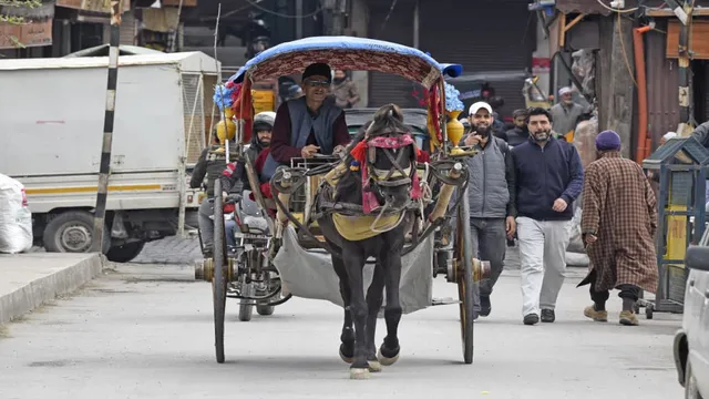 डल झील के किनारे तांगे वाली ‘टप-टप’, श्रीनगर में फिर लौटा पुरानी यादों का सुहाना सफर; अब होगी शाही सवारी!
