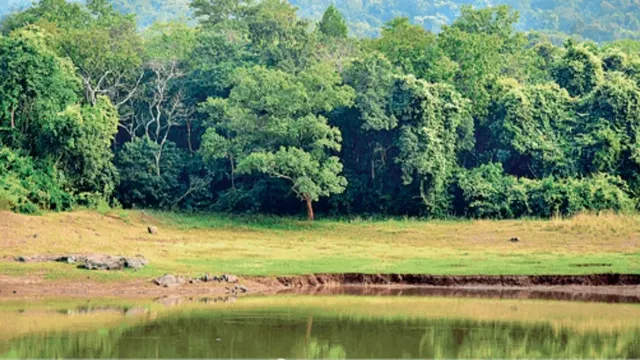 वनभूमि अतिक्रमण पर एआई से होगी निगरानी, उत्तराखंड में तेज होगी कार्रवाई