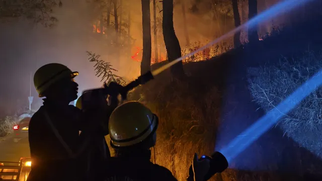 अल्मोड़ा के लोधिया जंगल में लगी आग, दमकल ने तुरंत पाया काबू