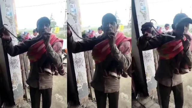 करनाल में कोबरा को पकड़कर व्यक्ति दिखा रहा था करतब, अंगुली पर काटने से मौत