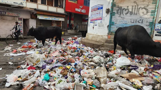 एक रूपये का लालच बिगाड़ रहा शहर की सूरत, जागरूकता के बाद भी शहर की सड़कों पर फेंका जा रहा कूड़ा