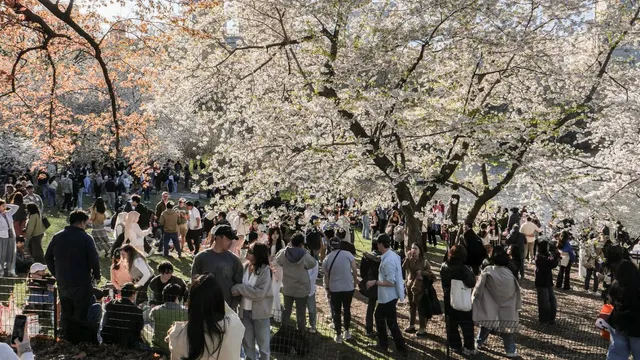 अमेरिका में इस बार सारे रिकॉर्ड तोड़ेगी गर्मी, 600 जगहों पर दिखेगा असर; 16 करोड़ लोग होंगे प्रभावित