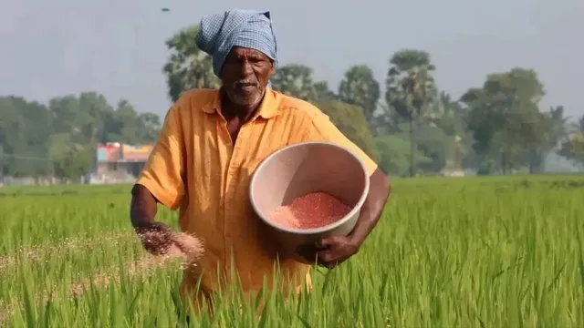 हापुड़ में खाद के नाम पर खेतों में डाला जा रहा ‘जहर’, 20 रुपये की राजस्थानी मिट्टी से बर्बाद हो रहे किसान