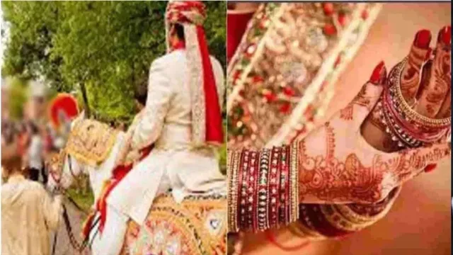टाइगर रिजर्व में मंत्री के बेटे की ‘शाही शादी’ पर बवाल, नपे फील्ड अधिकारी