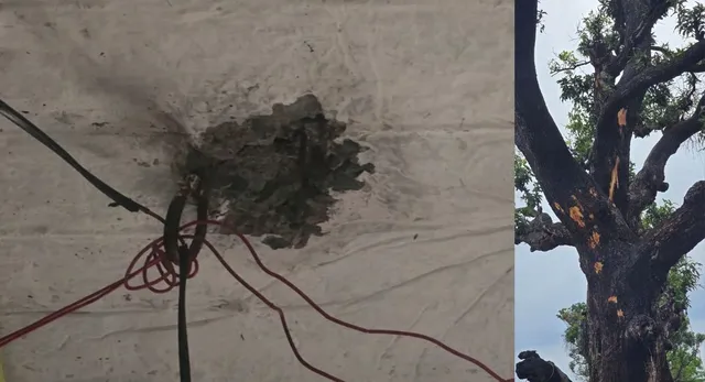 सिद्धार्थनगर में आकाशीय बिजली गिरने से आम का पेड़ क्षतिग्रस्त, घर में दरार, बकरी की मौत