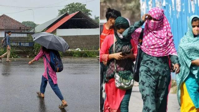 12 राज्यों में पहुंचा मानसून, यूपी-एमपी में बारिश तो राजस्थान में गिरे ओले; दिल्ली-NCR को लेकर चेतावनी जारी