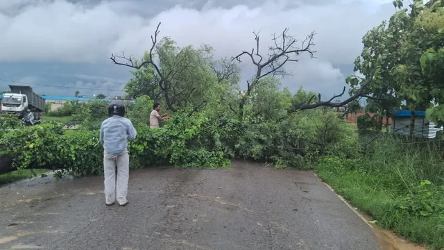 देवरिया में बारिश का कहर, सड़क के बीचों बीच गिरे पेड़; बंद हुआ आवागमन