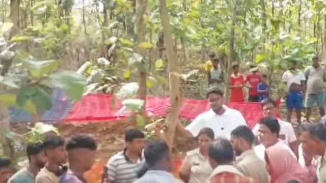 ओडिशा में शौच के लिए गए किशोर को हाथी ने पटक-पटक कर मारा, ग्रामीणों का भारी हंगामा