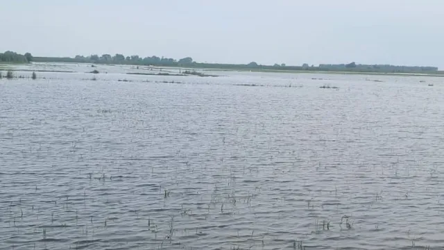 कासगंज में गंगा का जलस्तर खतरे के निशान से ऊपर, आबादी वाले इलाकों में घुसा पानी