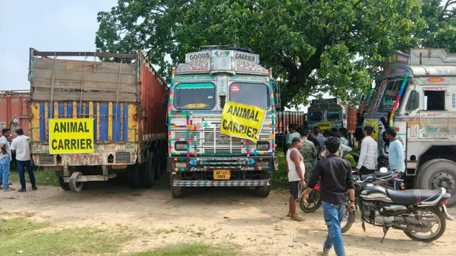 झारखंड: मवेशियों से लदे 21 ट्रकों के काफिले ने मचाया हड़कंप, हजारीबाग पुलिस ने रोककर शुरू की जांच