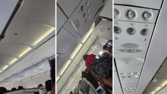 टर्बुलेंस या पायलट से हुई चूक? अब फुकेट-दिल्ली फ्लाइट का ब्लैक बॉक्स खोलेगा कॉकपिट के राज