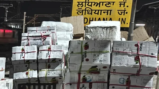 लुधियाना से हावड़ा पहली बार रेल से पहुंचा पर्सिमोन, हिमाचल के किसानों को मिला देशभर के बाजारों तक नया रास्ता