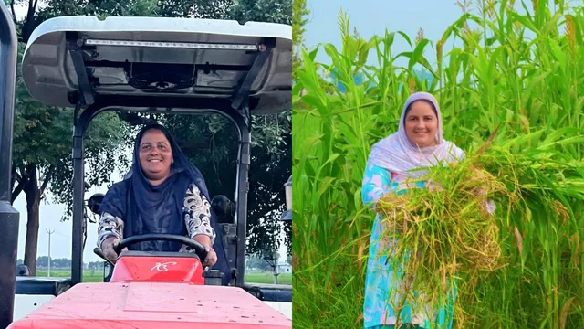 कभी सुने ताने, आज 80 लाख का कारोबार! जानिए 12वीं पास मोगा की मनदीप कौर ने कैसे बदली अपनी किस्मत