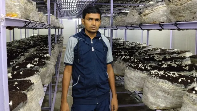 नौकरी का इंतजार छोड़ YouTube से सीखा मशरूम उत्पादन, भोजपुर के युवक ने गांव में खड़ी कर दी आधुनिक यूनिट