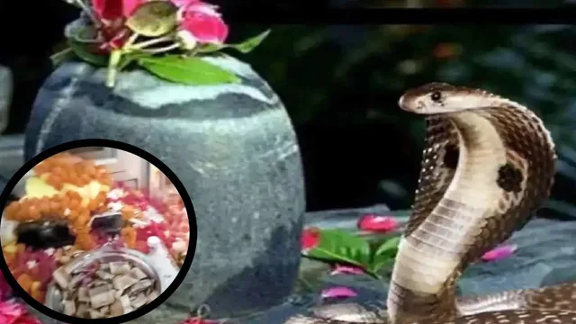 सन्याल में नागदेवता के दर्शन को उमड़े श्रद्धालु, दूध और रोट चढ़ाकर मांगी मन्नतें
