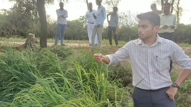 बारिश से बर्बाद फसलों का सर्वे जारी, अलीगढ़ में खेतों पर पहुंचे लेखपाल; पात्र किसानों को मिलेगा मुआवजा