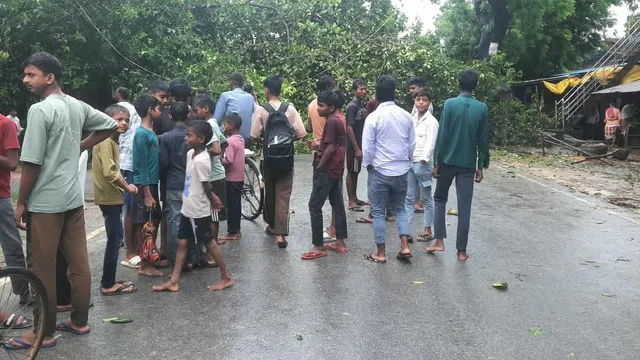गाजीपुर में राजमार्ग-67 पर गिरा विशाल बरगद, कई घंटे थमा यातायात