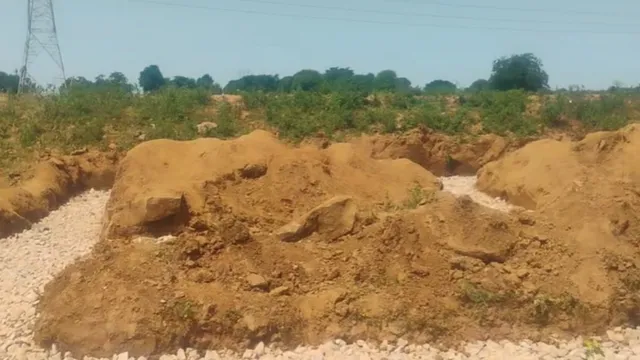 दिव्या मित्तल के वीडियो के बाद मीरजापुर में बनने लगा था स्कूल, अब वन विभाग ने निर्माण पर लगाई रोक